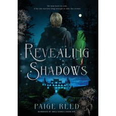 (英文圖書)Revealing Shadows: Guardians of Areli Book 1 精裝版, Burning Hearts Publications, 英文