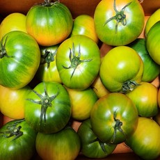 [1등농장] 산지직송 특품 대저 토마토, 1박스, 2.5kg (대과 L)