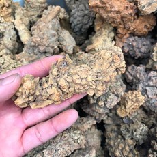 조개화석 암모나이트 화석 1 화석화 된 공룡 똥 표본 화석 마다가스카르