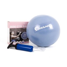 시작하는 홈트 소형 짐볼 펌프포함 25cm 근력운동 전신운동 소도구 손, 1개