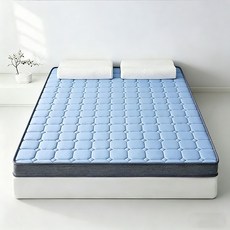 FOCUS ON SLEEP 乳膠記憶棉床墊 10公分厚 150x190公分 A類母嬰級 高彈護脊 靜音助眠, （厚10cm）玫瑰藍 【高回彈拒絕塌陷】,150*190cm【A類母嬰級丨抗菌防蟎