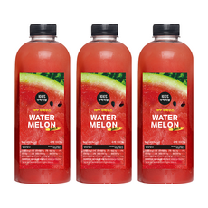 (가격인하) JUICE PRESSED 프리미엄 HPP 100% 수박주스 (패트), 3개, 1L