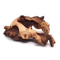 투톤유목 1개 랜덤(M/15-30cm) / 수초꾸미기 수초디스플레이 자연유목 잔뿌리