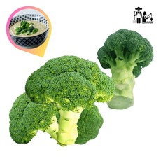 브로코리 생브로콜리 제철 싱싱한 프리미엄 채소 1kg, 1박스