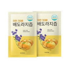 MD정품 고이담은 배도라지즙 30포 배농축액 배도라지 파우치 물타지 않은 100% 국내산 원액 원물착즙 과채주스, 100ml, 30개