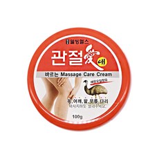 웰빙헬스팜 관절애 마사지크림, 100g, 1개