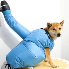 강아지건조복 애견드라이룸 목욕후속건조 반려견수건 펫타올케이프 흡수력, 1개, L(10kg-20kg)