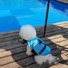 리치독스 강아지 구명조끼 소형견 중형견 날개 구명조끼, 블루, 1개