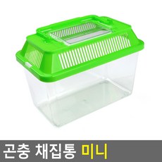 아르테 곤충 채집통 미니 곤충채집통소형