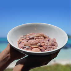 백두수산장어 국산자포니카 손질 내장 500g(쿠팡), 1개, 500g