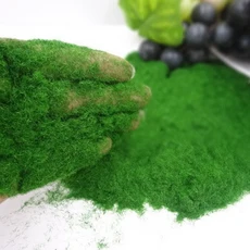 게임 빌딩 모델 재료 공예 정원 인공 잔디 분말 이끼 DIY 액세서리 마이크로 풍경 장식, 3. -3, 1개