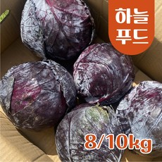 (10kg/Box) 수입 적채 적양배추 식자재 빨간양배추[원산지:중국], 1개, 10kg