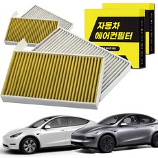 1+1 자동차 에어컨필터 그린 활성탄 냄새차단 순정형 PM, 2개, 모델Y [FCA-20]