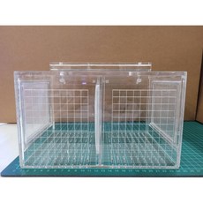 網格雙隔間隔離盒 12x12x15.8cm 掛夾兩用 幼蝦幼魚隔離, 1個, 底部有孔底(部有洞&幼蝦幼魚會跑出去）