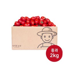 정직한농장 당일수확 산지직송 대추방울토마토, 1박스, (중과/3번) 2kg