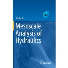 Mesoscale Analysis of Hydraulics Hardcover, Springer, English, 9789811597848