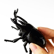 비틀킹 태엽 사슴벌레