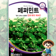 페퍼민트 300립 일반종 민트계 식용꽃 허브 꽃씨 씨앗 종자 세계, 1개