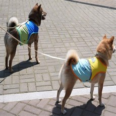 별별마켓 산책베스트 블루 빛반사