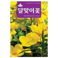 달맞이 꽃 씨앗 달맞이꽃씨 4000립, 1개