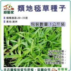 綠藝家 類地毯草種子 1公斤裝 (有藥劑處理)
