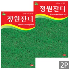 세인화분 정원잔디 소포장 - 잔디씨 씨 씨앗, 2개