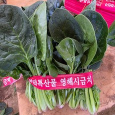 포항영해초1단(300g내외)_공급 (Araium)