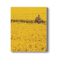 MANTO 台灣製造 大尺寸 50x65cm DIY數字油畫 花海花卉風景 初學者專用, 向日葵．回憶, 1套