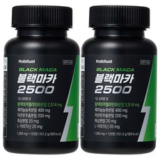 와이즐리 활력충전 페루산 블랙마카 2500, 2개, 120정