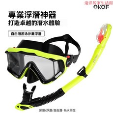 潛水鏡 潛水麵罩 浮潛麵鏡 潛水蛙鏡 防霧水肺麵罩 泳池/浮潛 成人專業浮潛 深潛潛水防霧麵罩 幹式呼吸管套裝防水防霧, 天藍色,DM893防霧面鏡+呼吸管