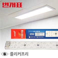 [쉽게 LED 리폼] LED 모듈 램프 30W (FPL 55W 형광등 대체용) 방등 주방등 거실등 욕실조명, 1개, 주광색