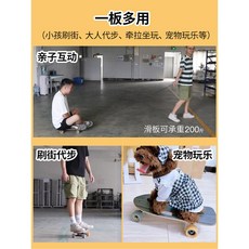 애견 19인치 휴대용 강아지 스케이트보드 보드, 1 1년 동안 판로가 끊어지면 공장 직거래 품질보증 를