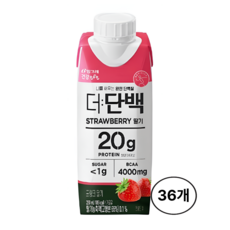 빙그레 더단백 프로틴 드링크 딸기 250ml 2박스 36개입, 36개