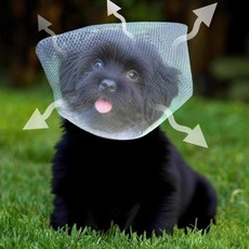 윤화마켓 강아지커버 양봉모자 해충방지 페이스, 화이트 메시 2개, 1개