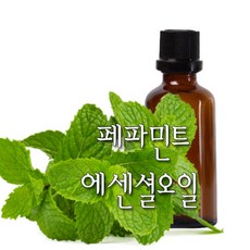 허니솝 페파민트 아로마 에센셜오일, 페파민트 에센셜오일 100ml, 1개