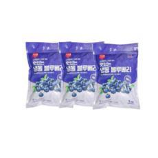이츠웰 맛있는 냉동 블루베리 1kg 3개, 1