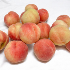 당일발송 국내산 당도보장 딱복 대극천복숭아, 10개, 1kg (특품)