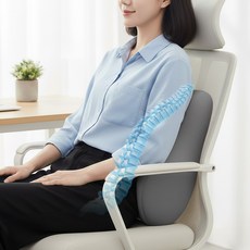 바디앤에어 메모리폼 등받이 요추전만 쿠션, 그레이