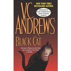 (영문도서)Black Cat Paperback, Gallery Books, English, 9781668234228