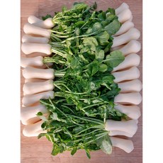 [오대팜] 강원도 고랭지 절임 알타리무 10kg/5kg 산지직송, 1박스, 5kg