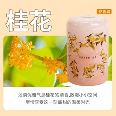 【無品牌】-空氣清新劑車載香薰衛生間香薰持久散香家用香水臥室廁所高級無火, 1個