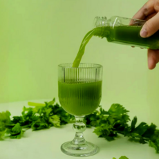 셀러리전문가 국내산 셀러리주스 샐러리주스 정제수0% 착즙주스 디톡스주스 셀러리즙, 7개, 200ml