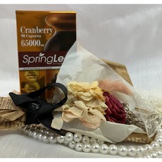 綠芙特級 高濃縮紅萃蔓越莓膠囊 90顆 女性呵護 澳洲進口 軟膠囊, 1個