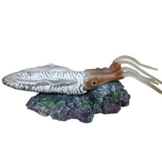 루체트리 수족관 장식품 어항 소품 인테리어