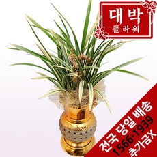 대박플라워 황룡 금투각 동양란 승진선물 취임 영전 발령 이전 개원 개소 개업선물 선생님선물 부모님선물 전국꽃배달서비스, 1개
