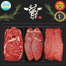 횡성한우 등심 안심채끝 특수부위 3구 구이 투플(1++) 한우 선물세트 1.5kg, 1개