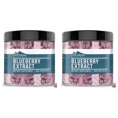 Earthborn Elements Blueberry Extract 블루베리 추출 200캡슐 2팩, 200정