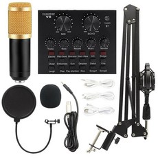 BM800 XlR 마이크 V8 라이브 사운드 카드 팟캐스트 BM 800 콘덴서 스튜디오 녹음 장비, 06 Gold with V8, 한개옵션2