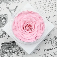 Preserved Flowers Bouquet Pink Rose Flowers Gift for Valentine's Day Mother's Day Anniversary, Preserved Flowers Bouquet, Pin