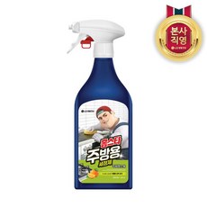 홈스타 주방용 세정제 500ml, 홈스타 맥스프레쉬 주방용 세정제 500ml